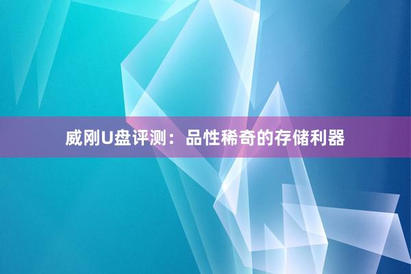 威刚U盘评测：品性稀奇的存储利器